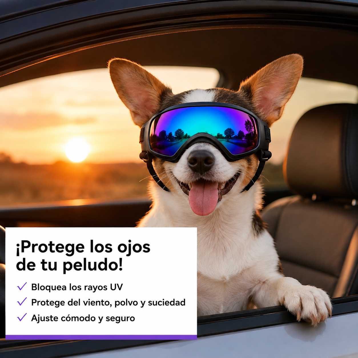 CANLUX Pet - Gafas para Mascotas