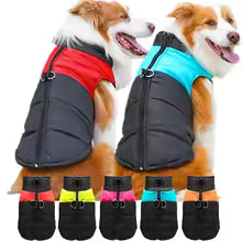 Impermeable para Mascotas