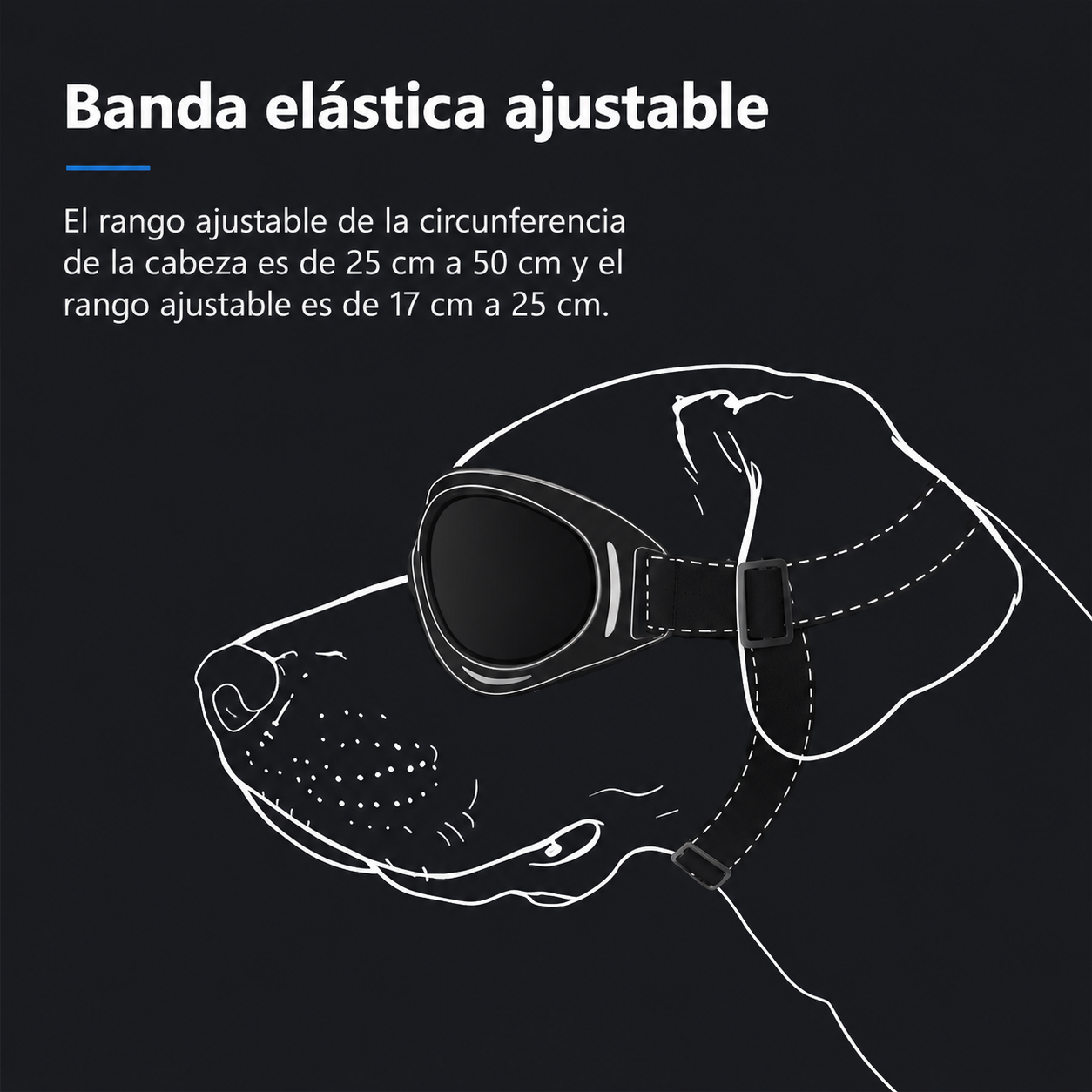 CANLUX Pet - Gafas para Mascotas